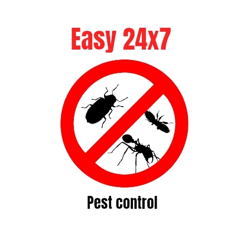 Easy Pest Control