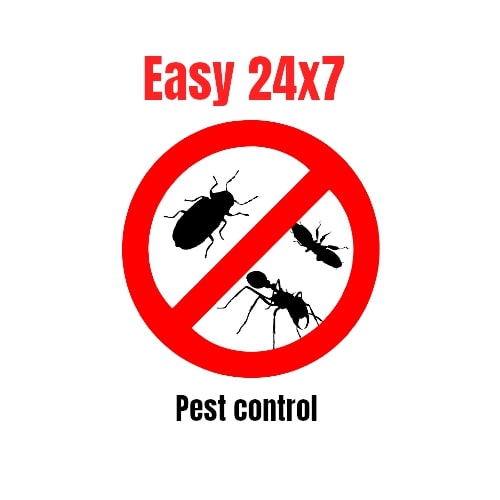 Easy 24/7 Pest Control Perth