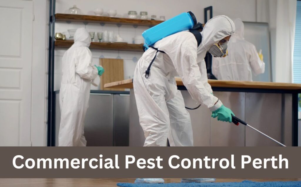 commercial pest control perth