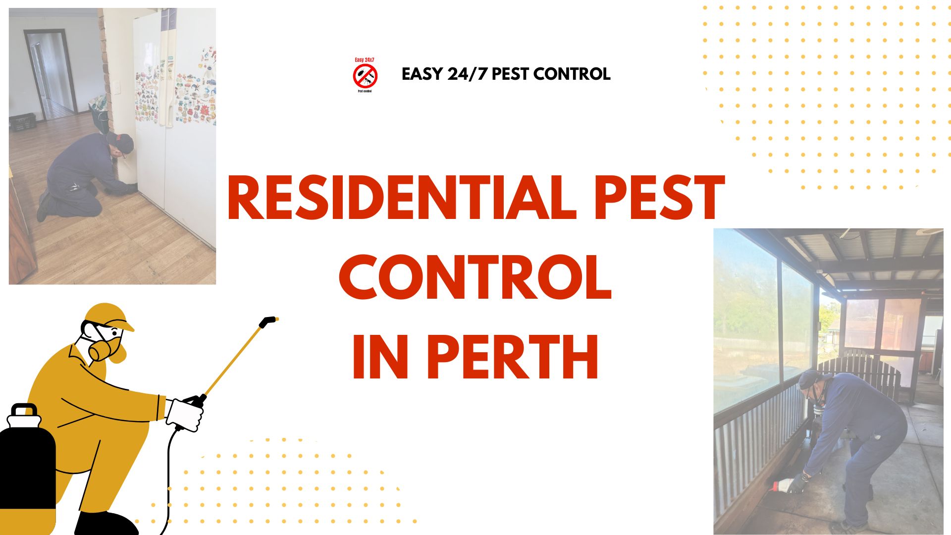 Residential Pest Control in Perth