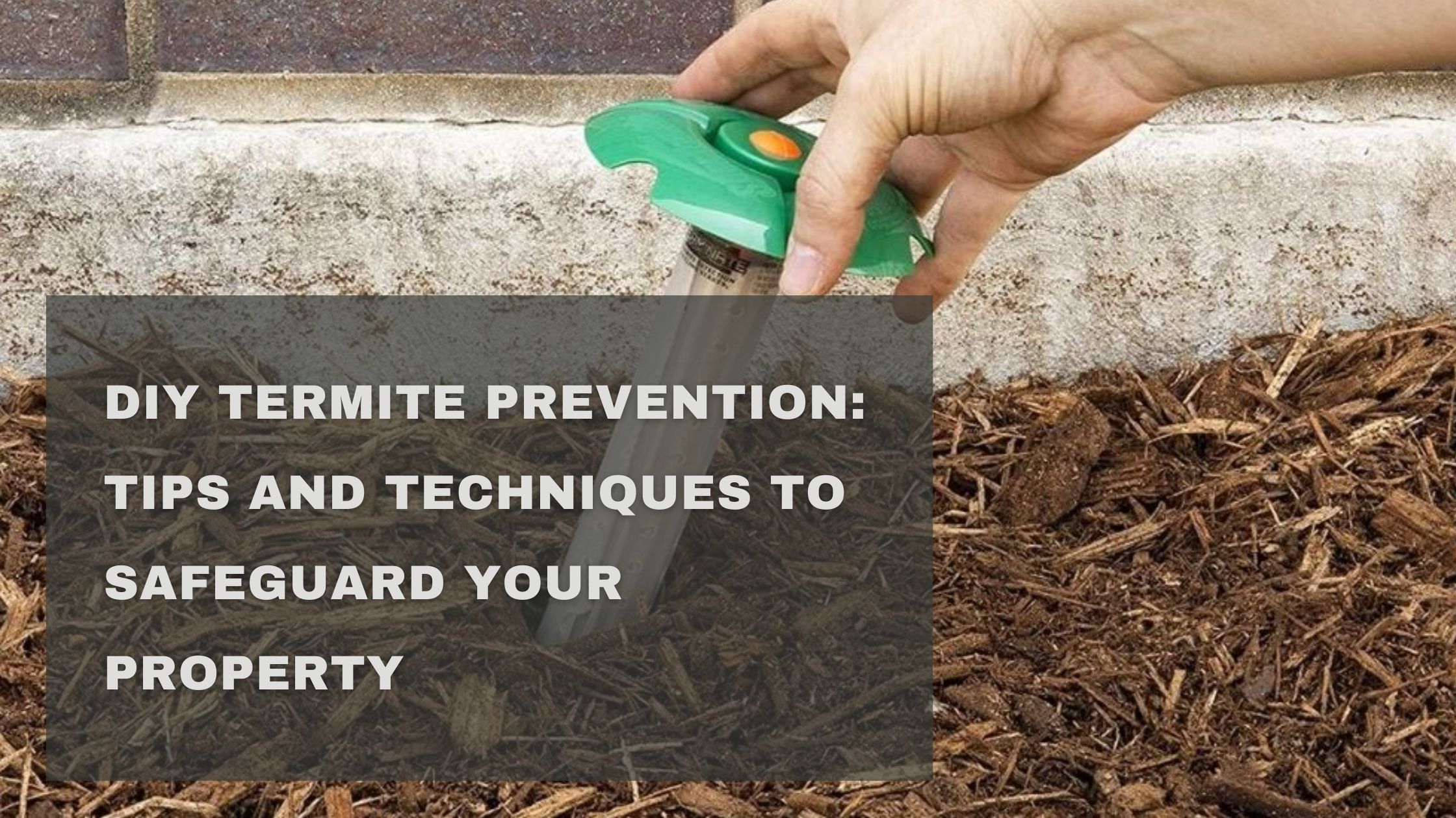 diy termite prevention