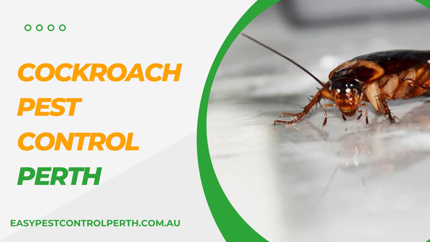 Cockroach Pest Control Perth