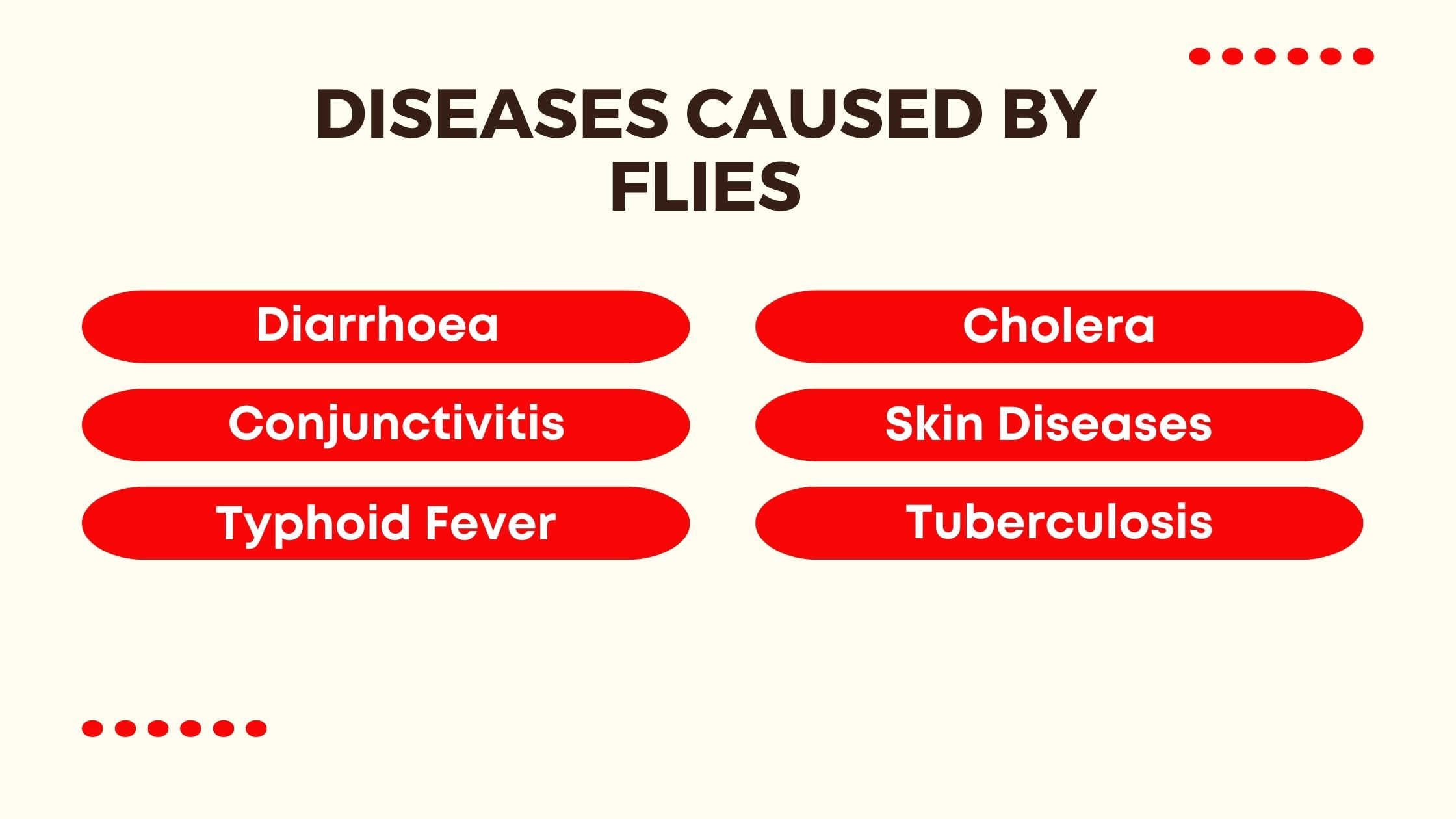 Diseases Caused by Flies