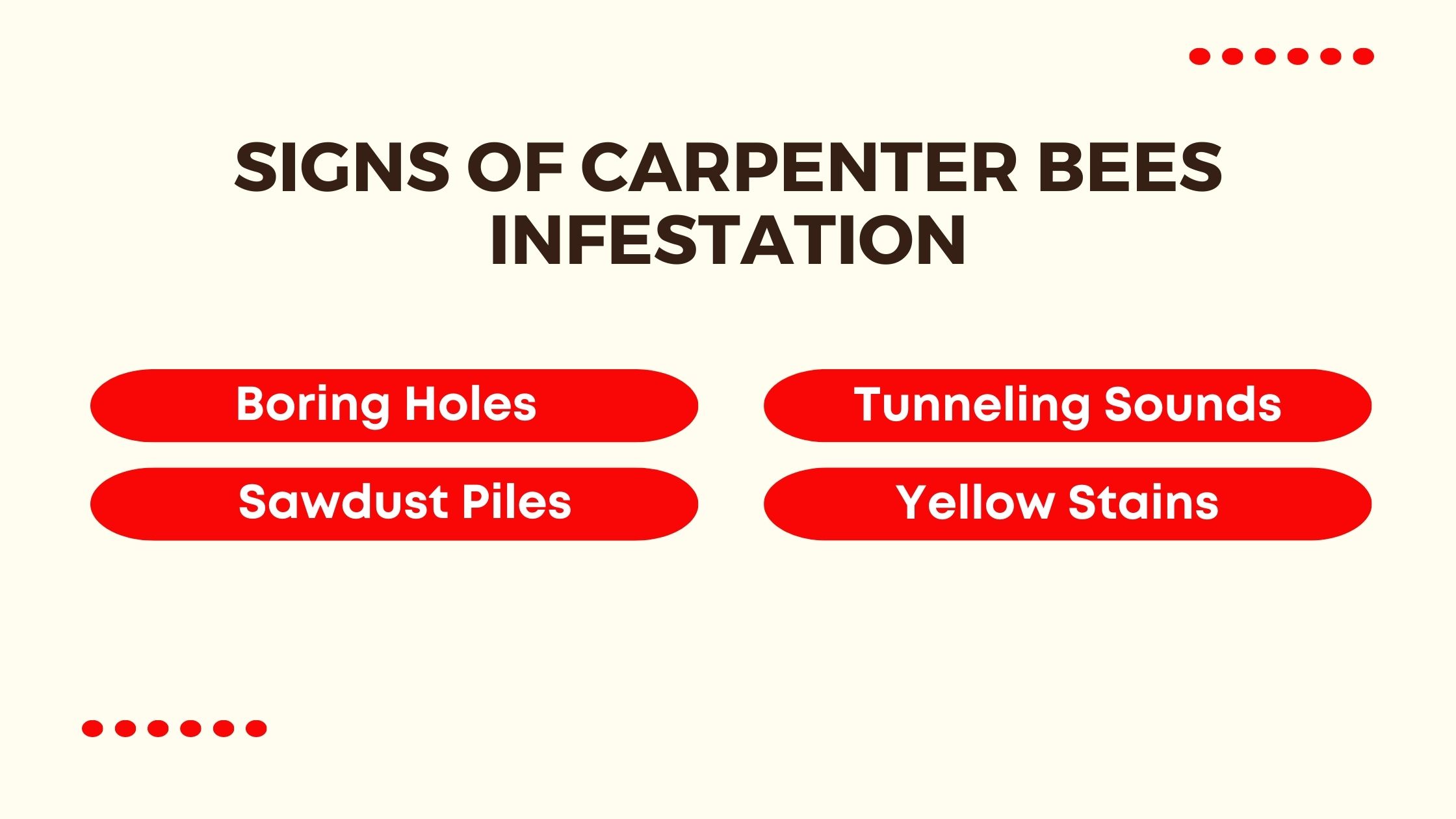 Signs of Carpenter bees Infestation