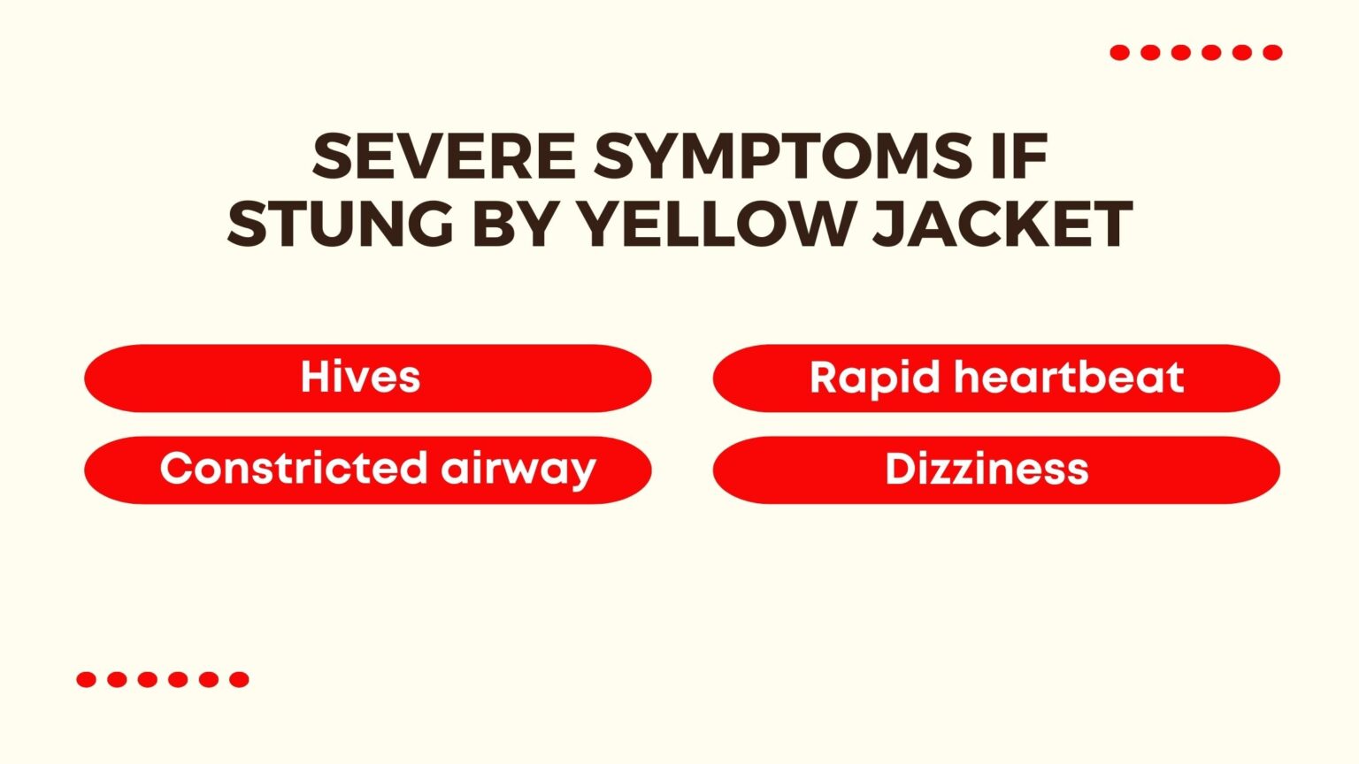 Yellow Control Yellow Jacket Control - Easy Pest Control