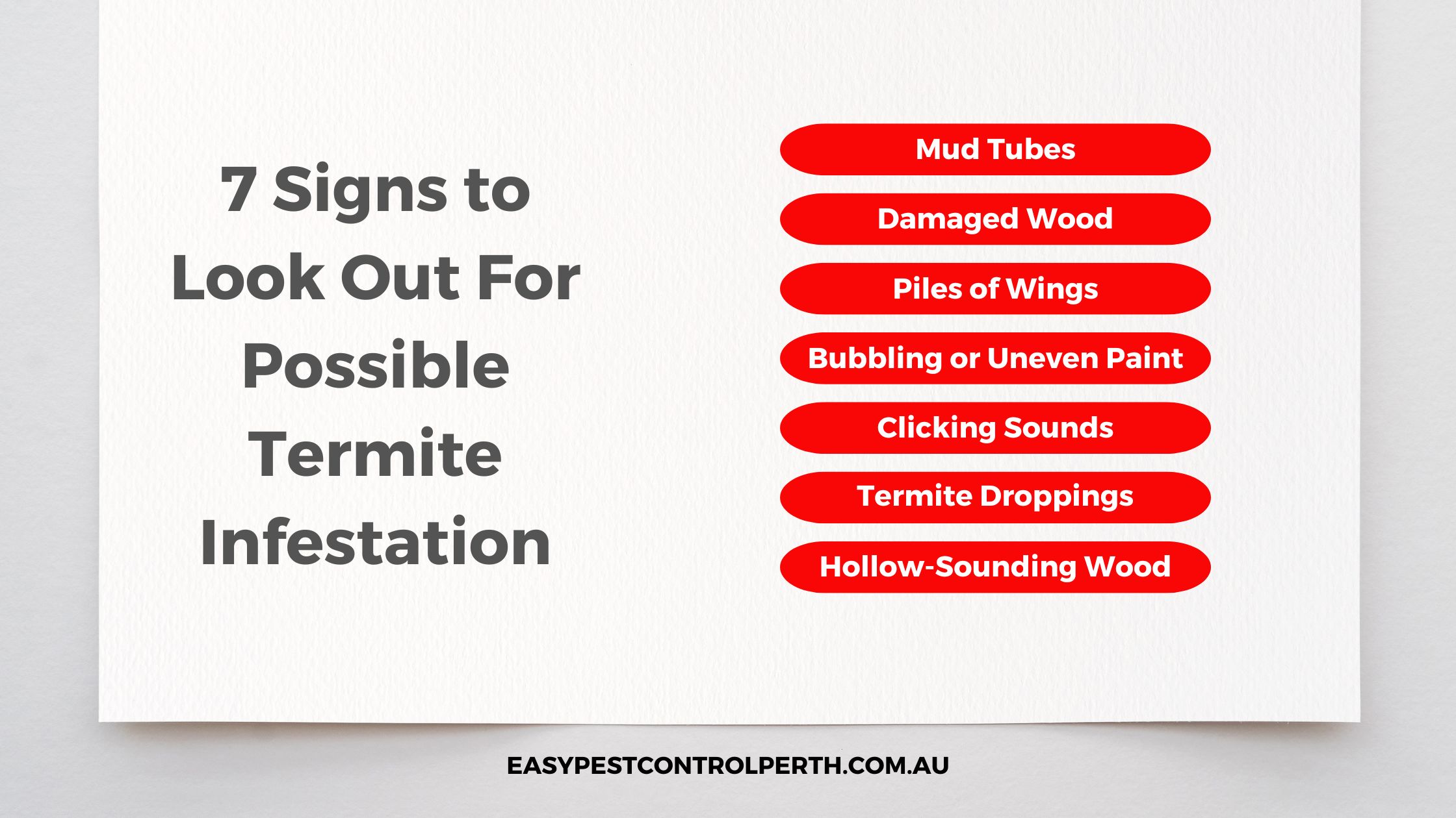 Termite Infestation Signs