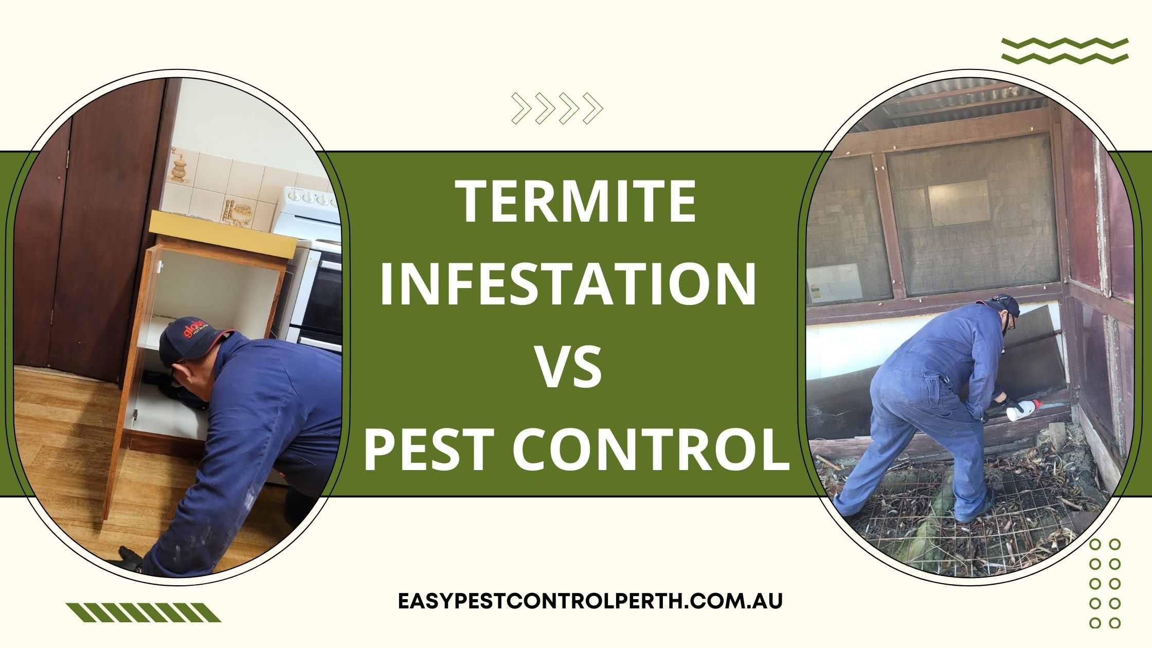 Termite Infestation vs Pest Control