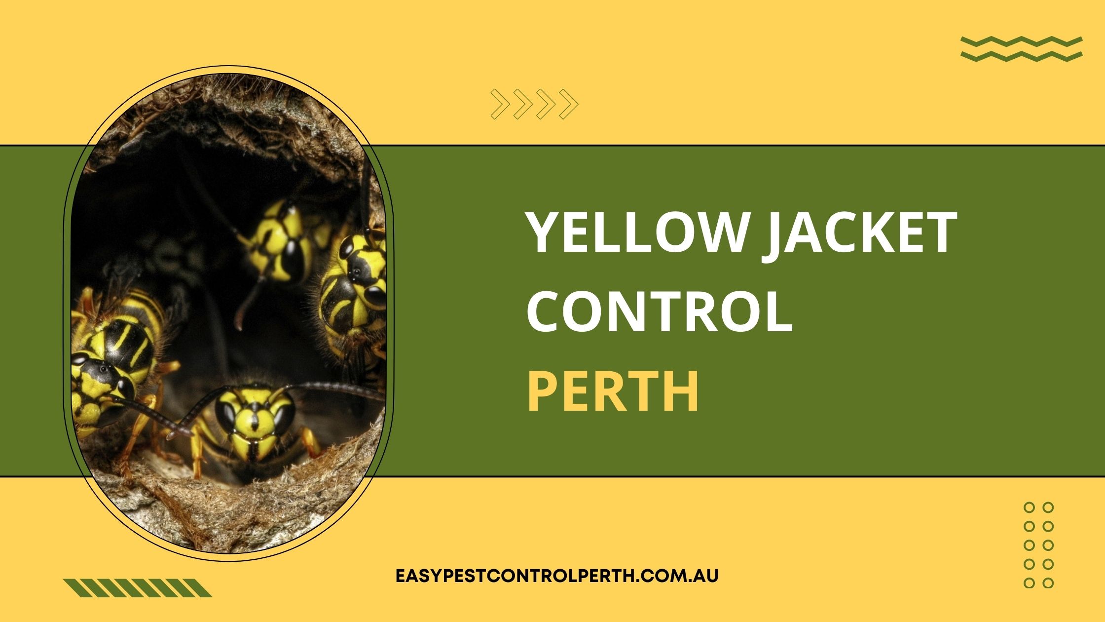 Yellow Jacket Control Perth