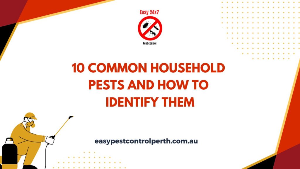 10 Common Household Pests and How to Identify Them - Easy Pest Control